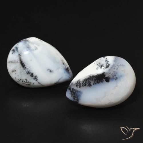 Shop Loose Dendritic Agate Natural Dendritic Agate Gemstones