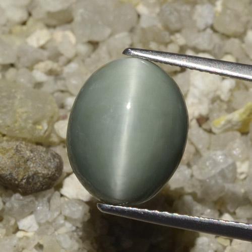 Loose Quartz Cat S Eye Gemstones For Sale In Stock Gemselect