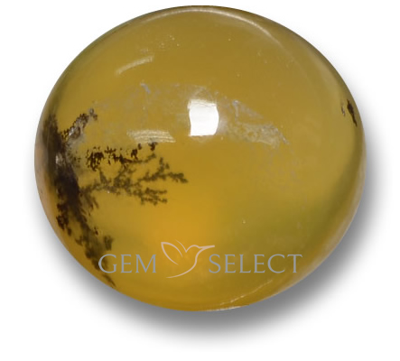 Moss Opal Gemstones from GemSelect - Large Image