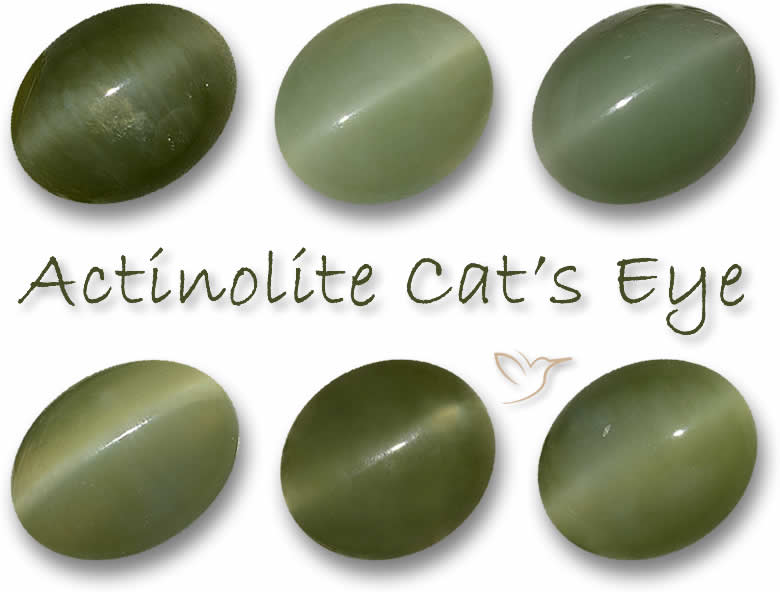 Green Actinolite Cat's Eye Gemstones