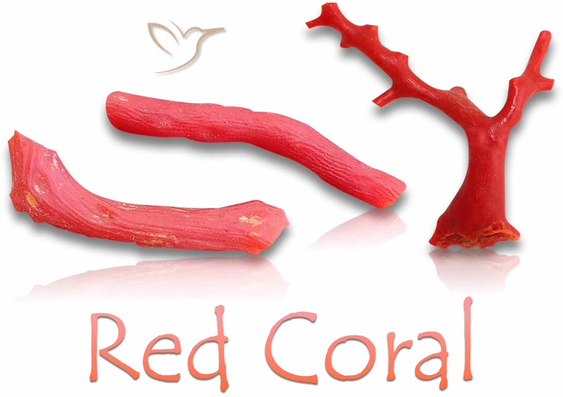 Rough Red Coral Stones