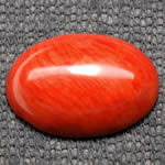 Red Coral Cabochon