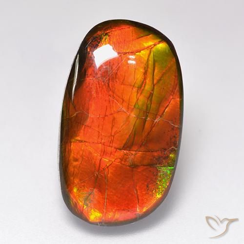 Multicolor Amolita Gema - 11.9ct Cabujón Elegante (ID: 520785)