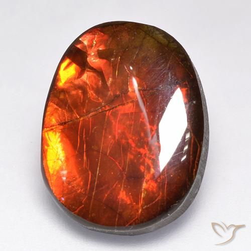 Multicolor Amolita Gema - 12.2ct Cabujón Elegante (ID: 520802)