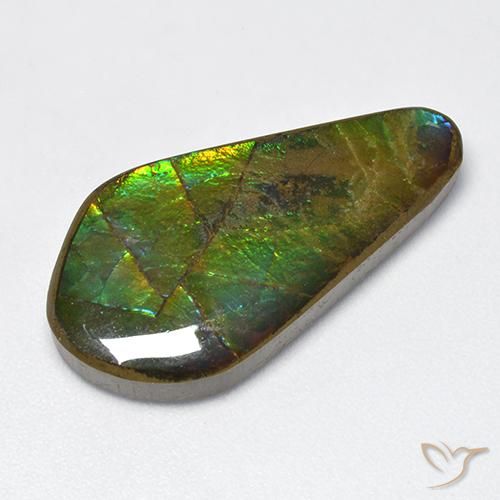 Multicolor Ammolite Gem - 15.5ct Fancy Cabochon (ID: 520995)