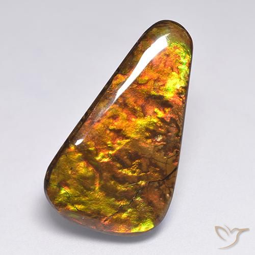 Multicolor Ammolite Gem - 18.3ct Fancy Cabochon (ID: 522528)
