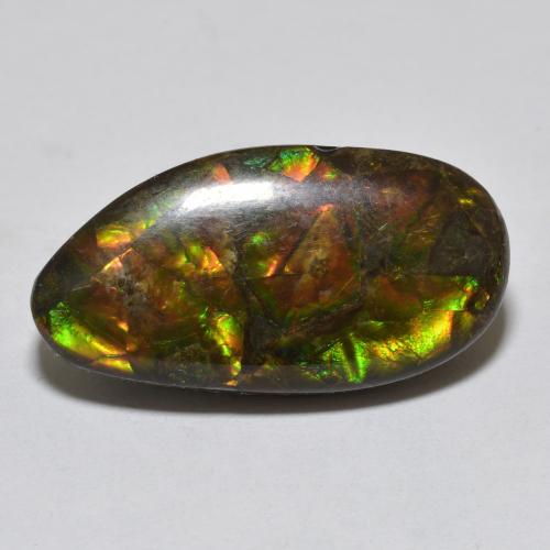 Loose Ammolite Gemstones for Sale - In Stock and ready to Ship | GemSelect