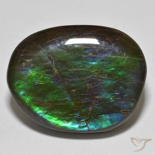 Loose Ammolite Gemstones for Sale - In Stock and ready to Ship | GemSelect