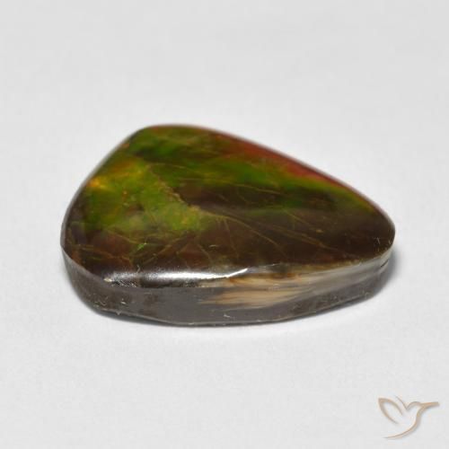 13.25 carat Ammolite Gemstone for Sale | loose Certified Ammolite from ...