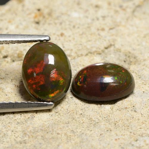 1 Carat (2 pcs) Multicolor Black Opal Gems from Ethiopia