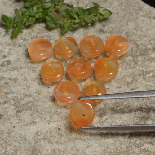 Orange rougeâtre Cornaline gemme - 0.8ct Rondelle (ID: 480075)