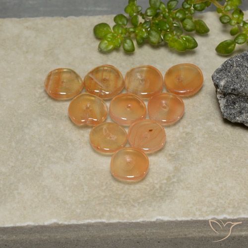 Orange rougeâtre Cornaline gemme - 0.5ct Rondelle (ID: 480078)