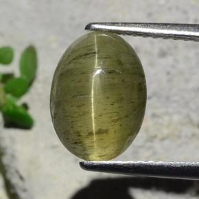 Vert foncé Oeil de chat Apatite gemme - 3.7ct Ovale Cabochon (ID: 483980)