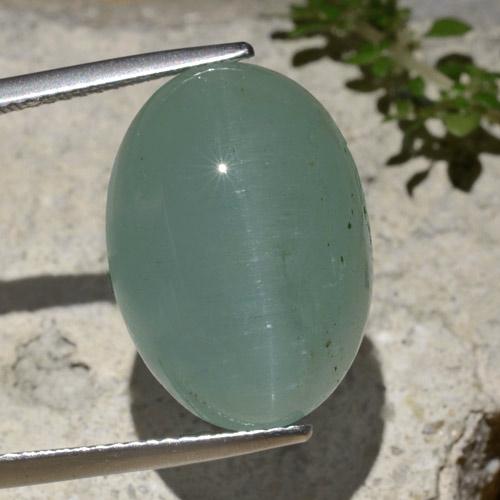 Cat's Eye Aquamarine: Buy Cat's Eye Aquamarine Gemstones