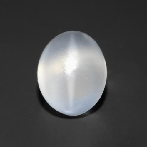 Loose Cat's Eye Moonstone for Sale - In Stock and ready to Ship | GemSelect