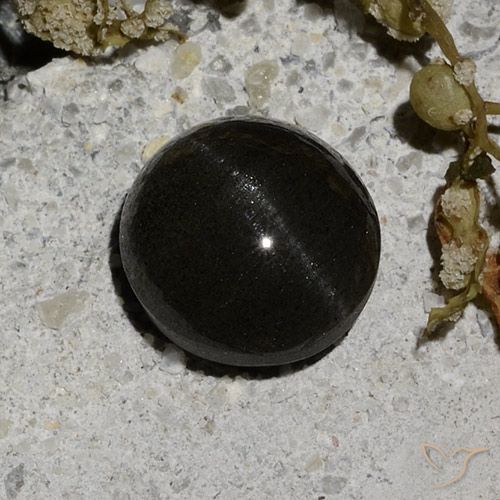 2.12 克拉圆形猫眼方柱石宝石| 7.7 mm | GemSelect