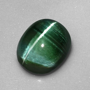 Cat's Eye Tourmaline 2.6ct Oval from Brazil Natural and Untreated Gemstone
