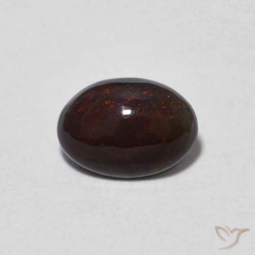 Chocolate sale opal price