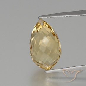 Dorado claro Citrina Gema - 8ct Corte Briolette con Agujero (ID: 367020)