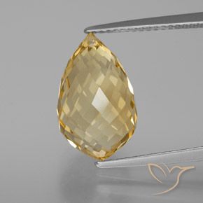 Light Brownish Golden Citrino Gem - 7.6ct Taglio briolette con foro (ID: 367187)