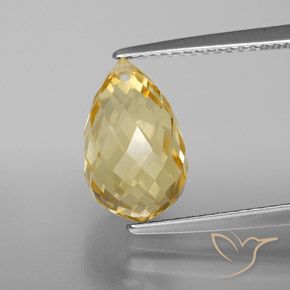 Dorato Citrino Gem - 3.9ct Taglio briolette con foro (ID: 367893)