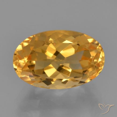 Amber: Buy Loose Amber at Affordable Prices from GemSelect