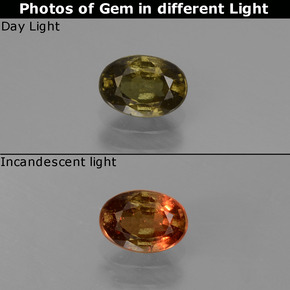 Multicolor Color-Change Garnet 0.6ct Oval from Tanzania Gemstone