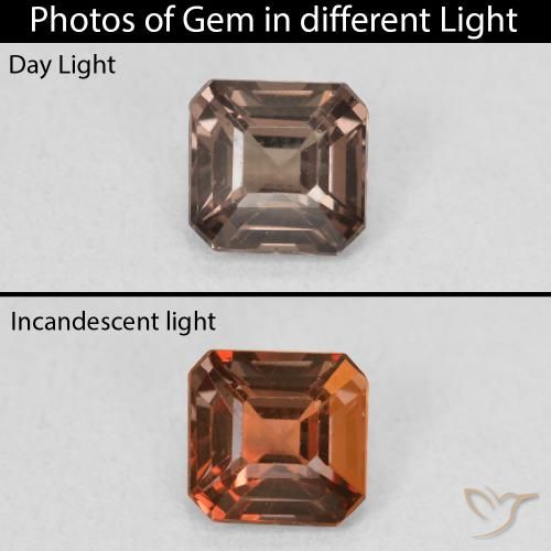 0.88Ct shops Natural Color change Garnet