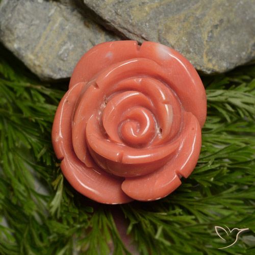 18.1 x 16.9mm Carved Rose Pink Coral from Australia, Weight of 18.78ct, Natural untreated gemstone in Opaque Clarity, 1pc Coral - the Color is Deep Salmon Pink, Mohs Hardness of 3 - 4, Photo A