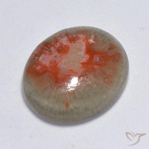 Coral Gemstones: Buy Coral Gemstones at Affordable Prices