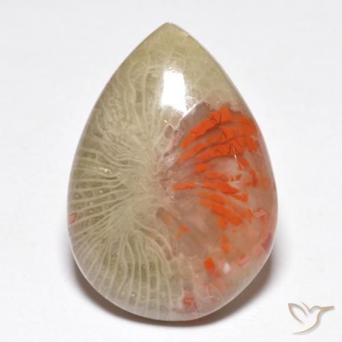 How to identify a Natural Coral gemstone and how it can help the