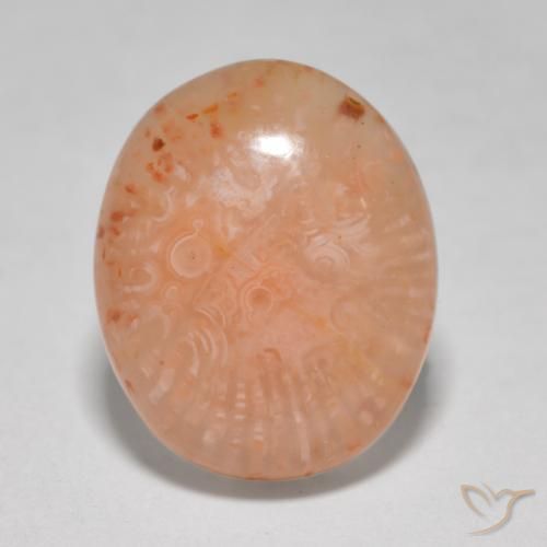 Coral Gemstones: Buy Coral Gemstones at Affordable Prices