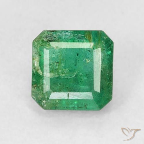 Loose Emerald Gemstones for Sale - All Items in Stock | GemSelect