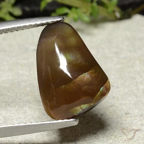 Multicolor Ágata de Fuego Gema - 8.4ct Cabujón aleta de tiburón (ID: 487155)