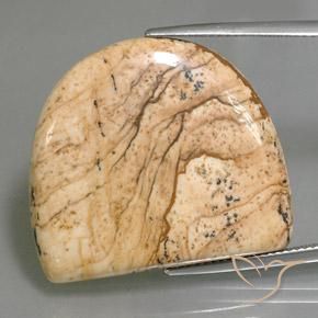 Multicolore Jaspe gemme - 33ct Cabochon fantaisie (ID: 348242)