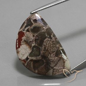 Multicolor Jasper Gem - 20.1ct Fancy Cabochon (ID: 363830)