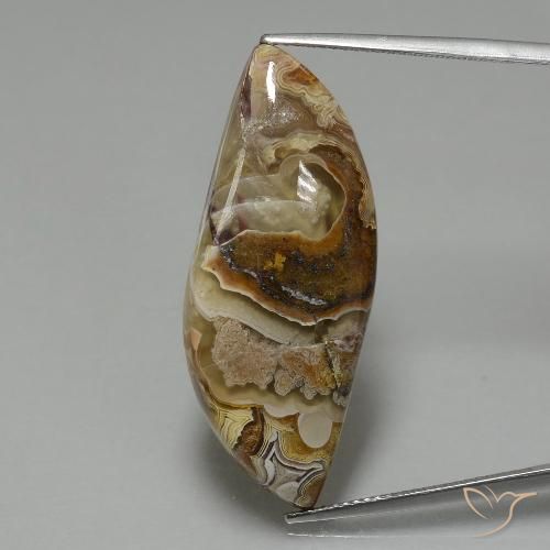 Multicolore Diaspro Gem - 22.1ct Cabochon fantasia (ID: 396537)