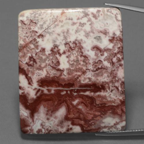 Multicolore Diaspro Gem - 64.5ct Cabochon a cuscino (ID: 447427)