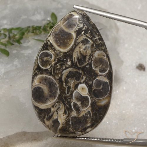 Jasper: Buy Jasper Gemstones at Affordable Prices