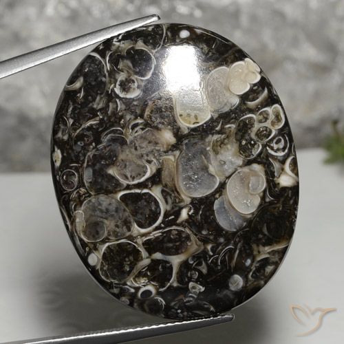 Jasper for Sale | All Varieties of Jasper Stones In Stock