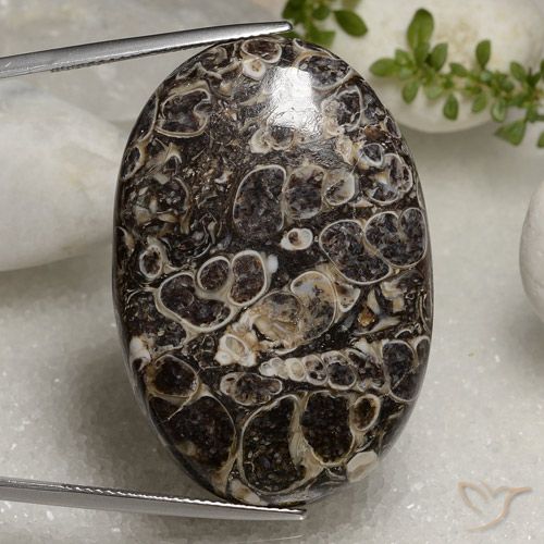 Jasper for Sale | All Varieties of Jasper Stones In Stock