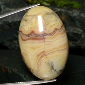 Multicolor Jaspe Gema - 62.6ct Cabujón Óvalo (ID: 476752)