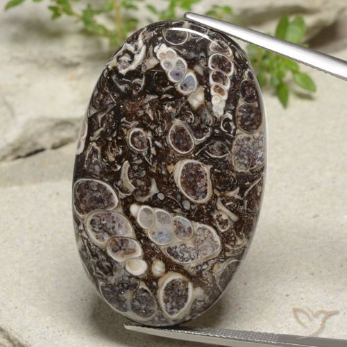 Natural Jasper for Sale - All Colors and Shapes in Stock | GemSelect