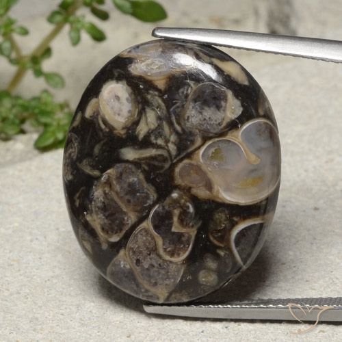 Loose Jasper Gemstones for Sale - All Colors and Shapes in Stock ...