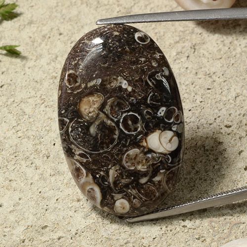 Natural Jasper for Sale - All Colors and Shapes in Stock | GemSelect