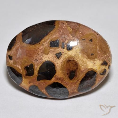 Loose Jasper Gemstones for Sale - All Colors and Shapes in Stock ...