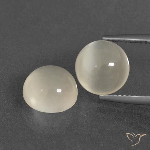 31.68 Carats! Natural White Moonstone Cabochon 19 store MM Round. Jewelry Making. Top Quality. Loose Gemstone.