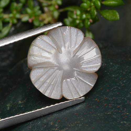 13.1 x 13mm Flower Cut Brown Moonstone from India, Weight of 5.29ct, Natural untreated Gemstone in Translucent Clarity, 1pc Carved Flower Moonstone - Color: Light Peanut Brown, Mohs Hardness of 6 - 6.5, Photo A