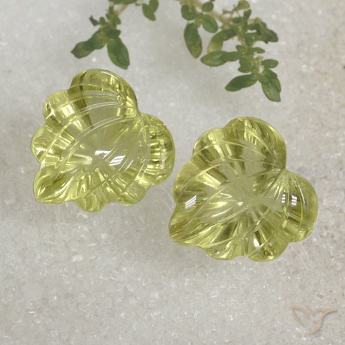 Amarillo limón Cuarzo Gema - 10ct Hoja tallada (ID: 470480)