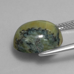 Green Serpentine 6.5 Carat Oval from Afghanistan Gemstone